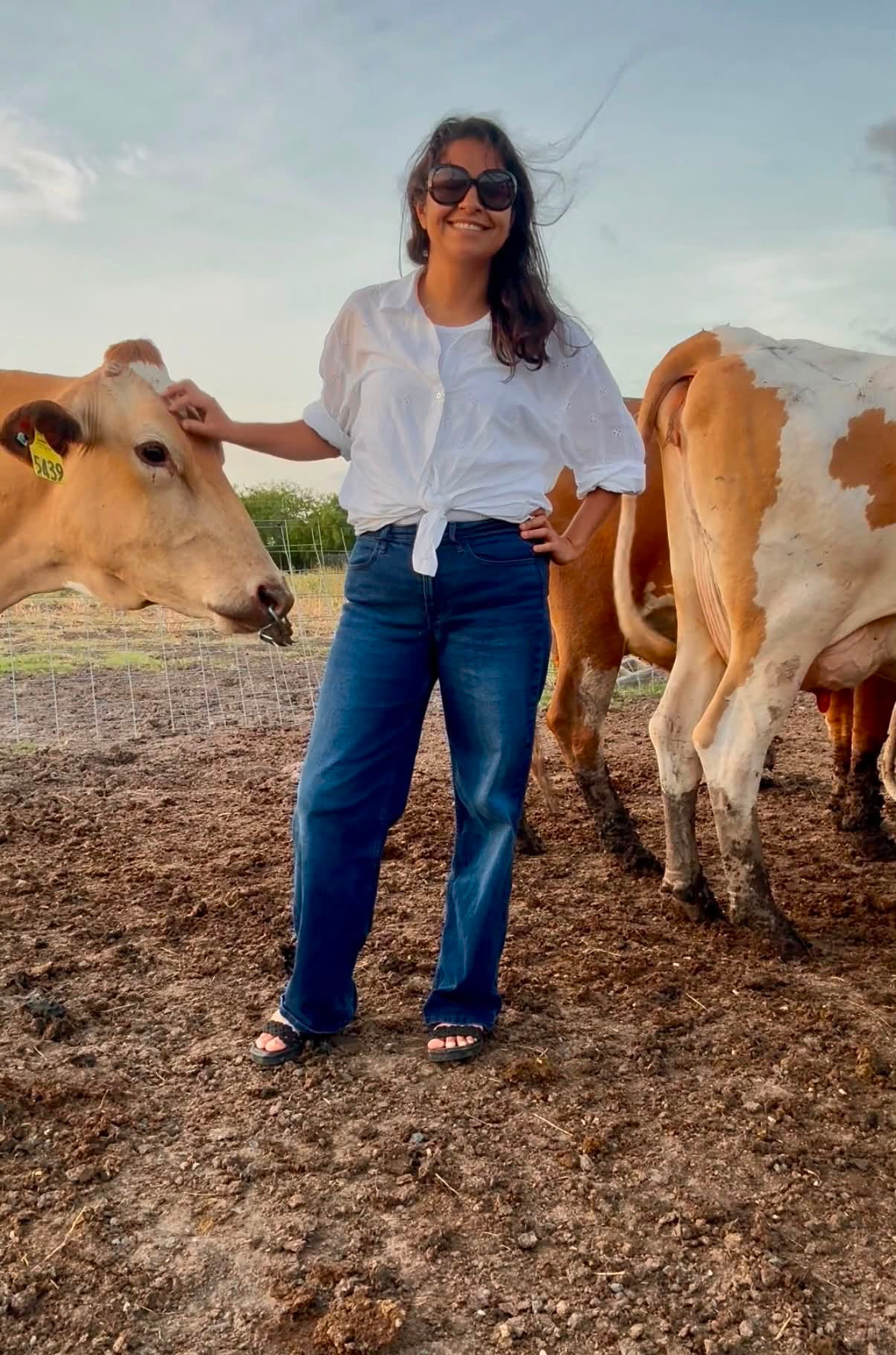 Amber Arriaga standing with cows at the family farm