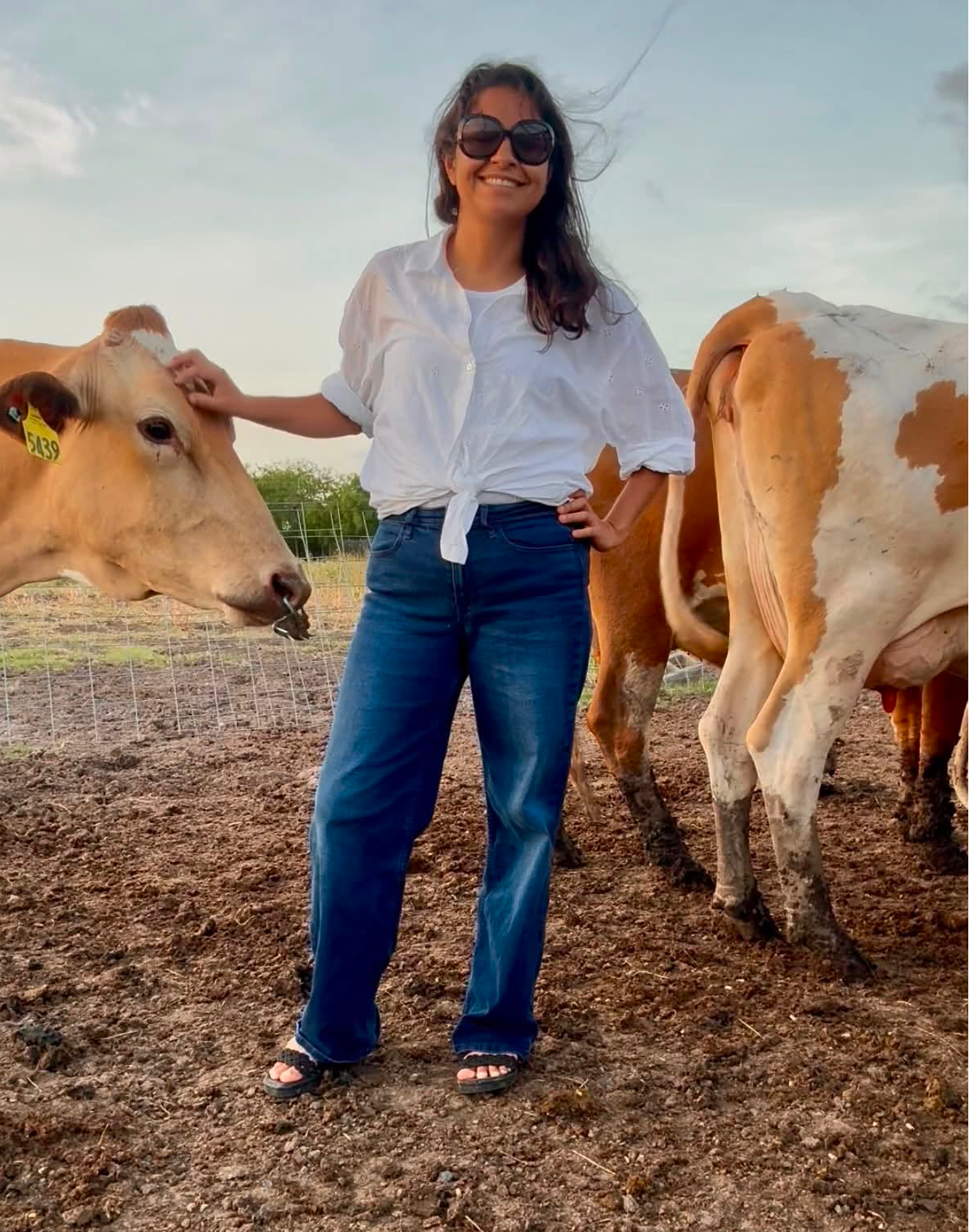 Amber, dressed up, standing with one of the farm's cows